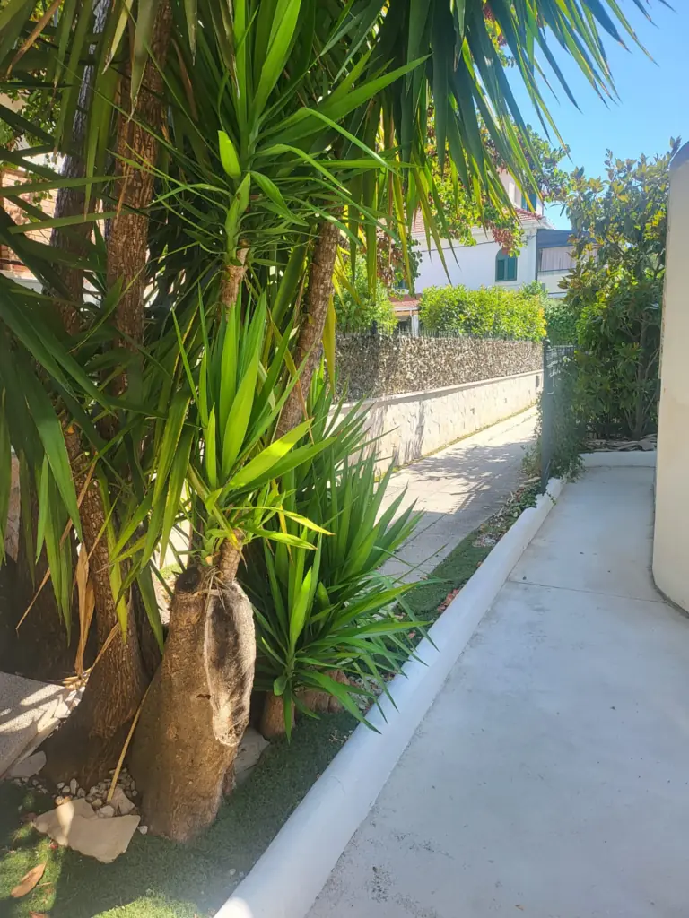 Vrtna staza okružena palmama i zelenilom, db Summer Terrace Split